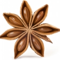 Star Anise