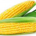 Corn