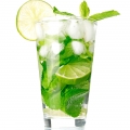 Mohito