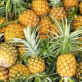 Ananas yarpağı