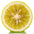 Calabrian bergamot