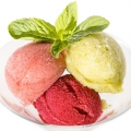 Sorbet (dondurma)