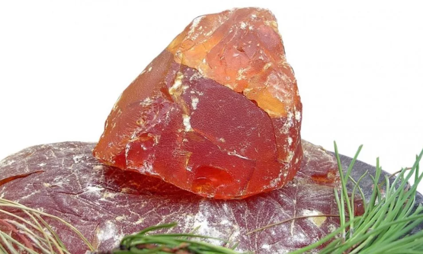 Fir Resin