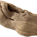 Driftwood