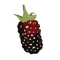 Boysenberry