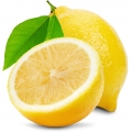 Limon