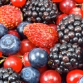 Wild Berries