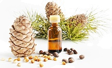 White cedar extract